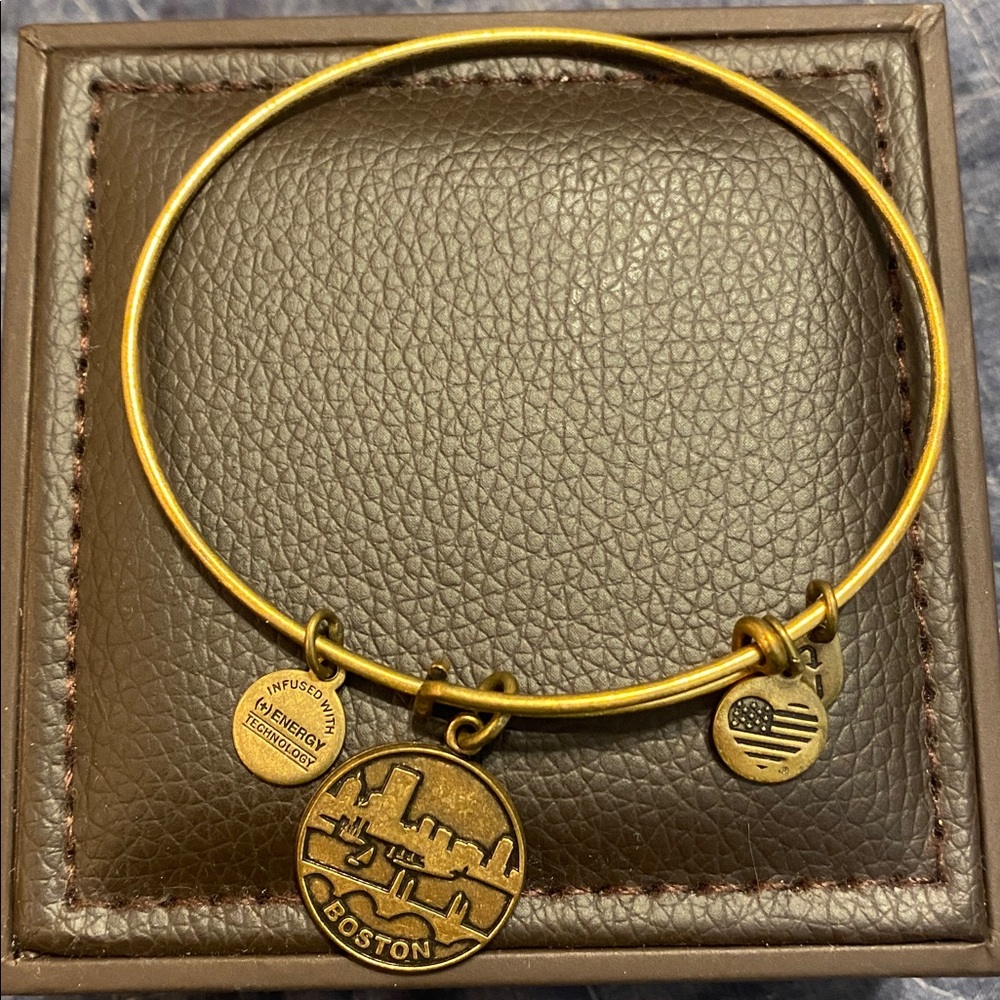 Alex and Ani Gold Charm Bracelet